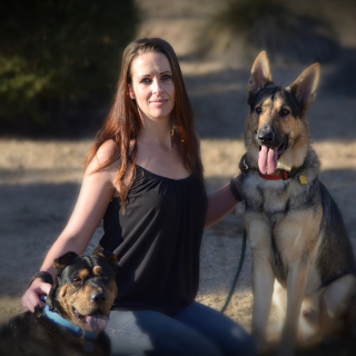 Mindy Langston - Lead Veterinary Technician