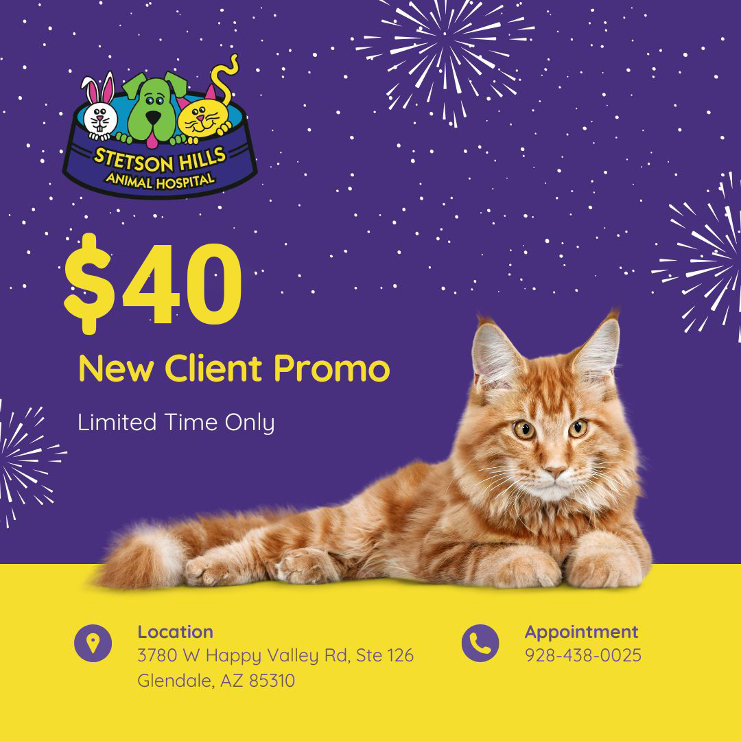 New Client Promo