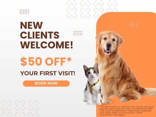 New Client Promo
